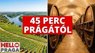 Mělník panorámája a Vltava és az Elba találkozásával, Prága közelében